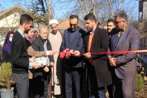 آغاز طرح کشت سوزنی‌برگ و نوئل آبی در کلاردشت