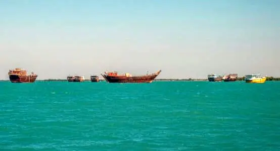  صید ماهی شیر در خلیج فارس و دریای عمان از 25 مرداد  ممنوع شد 