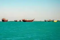  صید ماهی شیر در خلیج فارس و دریای عمان از 25 مرداد  ممنوع شد 