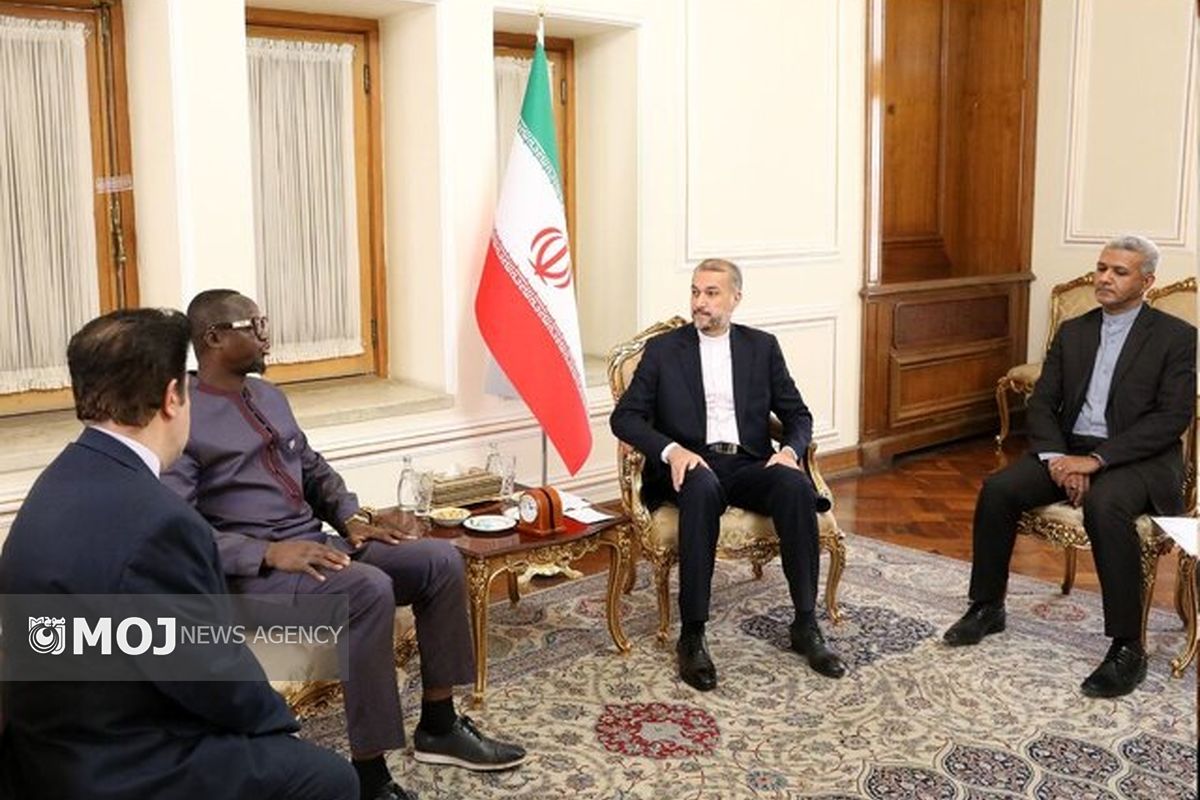 توسعه مناسبات با آفریقا از اولویت‌های سیاست خارجی ایران است