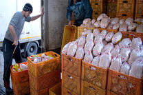 تولید روزانه هزار تن گوشت مرغ در مازندران