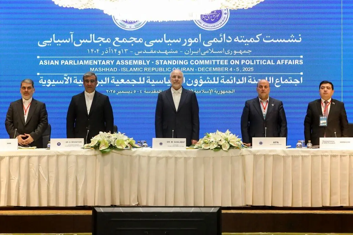 نشست کمیته دائمی امور سیاسی مجمع مجالس آسیایی 