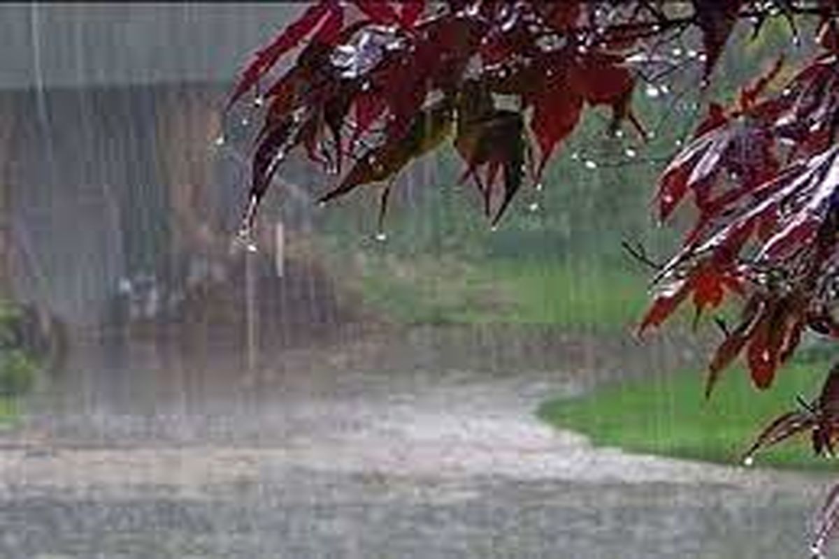 از ظهر جمعه سامانه بارشی در تمام مناطق استان ایلام فعال می‌شود