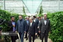 اجرای ۵ هزار پروژه نیروگاه خورشیدی در سراسر مناطق آزاد کشور