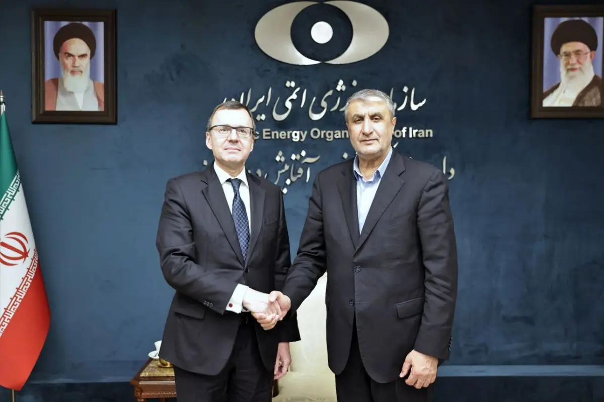 دیدار رئیس سازمان انرژی اتمی با معاون بینالملل روساتم