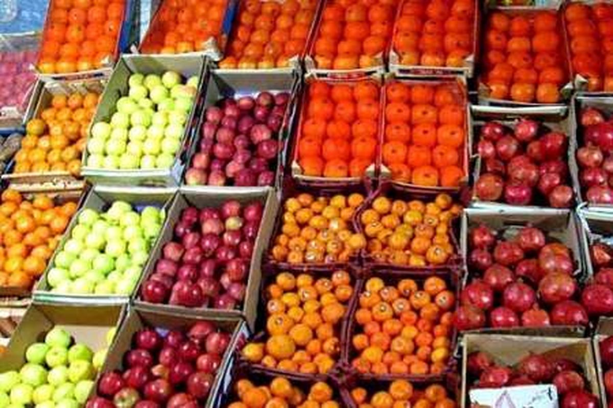 توزیع میوه با قیمت هر کیلو  2500 در هرمزگان