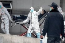 China confirmed 41 deaths from coronavirus