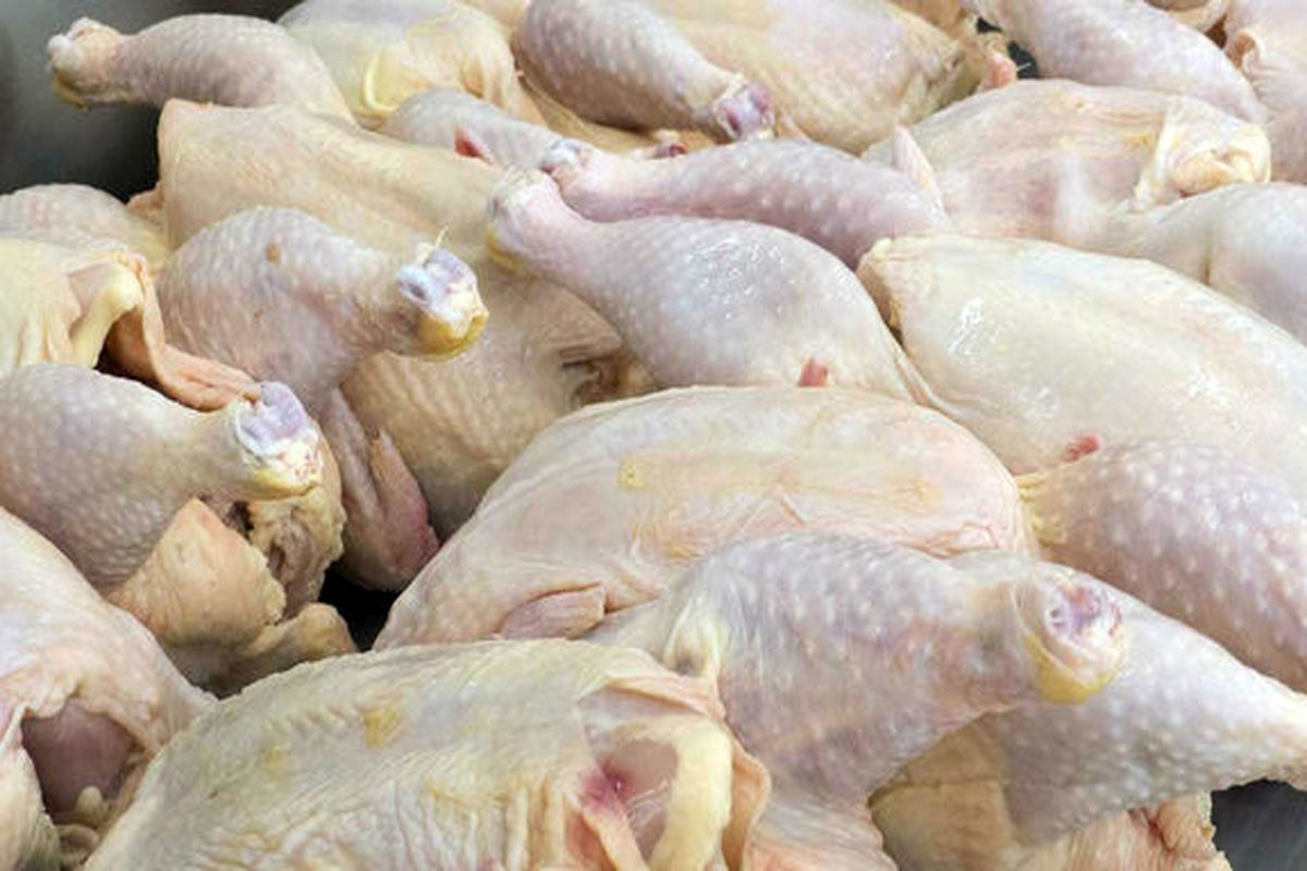 قیمت مرغ در 21 مرداد به ۱۰ هزار و ۶۰۰ تومان رسید