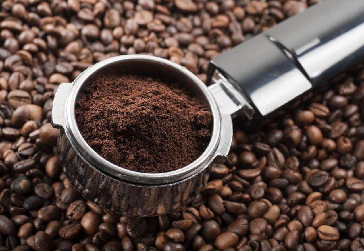 تفاله قهوه را دور نریزید / قارچ خوراکی و ارگانیک خود را تامین کنید + دانلود ویدئو