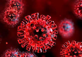 فوت ۵ نفر بر اثر ابتلا به کرونا ویروس در هرمزگان