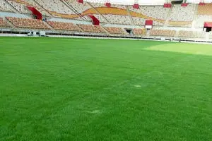 خشک شدن چمن ورزشگاه یادگار بی‌اساس است