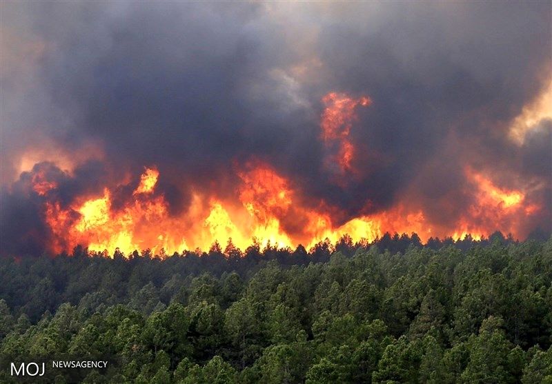 جزئیات آتش‌سوزی در جنگل‌های ارسباران