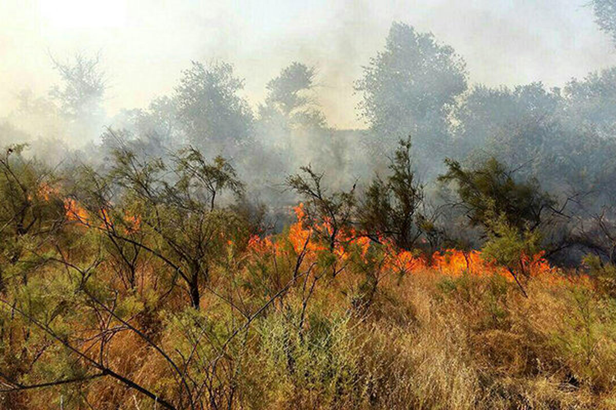 وقوع 6 آتش سوزی در جنگل های مشگین شهر