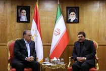ایران و تاجیکستان ظرفیت‌های قابل توجهی در بخش تجاری و اقتصادی دارند