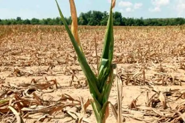 بحران آب ایران ریشه مدیریتی دارد