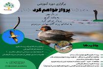 کارگاه آموزشی پرنده‌نگری در مازندران برگزار می‌شود
