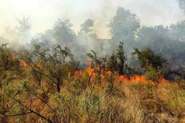 آتش‌سوزی 10 هکتار از مراتع جنگلی روستای «نِیتَل» بخش کجور