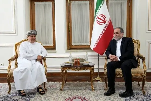 سفیر سلطنت عمان در پایان مأموریت خود با عراقچی گفتگو کرد