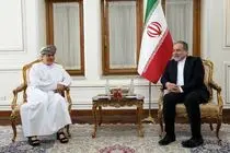 سفیر سلطنت عمان در پایان مأموریت خود با عراقچی گفتگو کرد