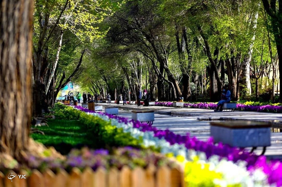 کاشت ۴۵ هزار بوته گل در محور میانی گذر چهارباغ اصفهان