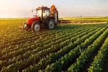 اجرای طرح کشاورزی حفاظتی در۱۰۰ هزار هکتار از مزارع  استان قزوین