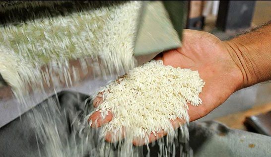 کشف 48 تن برنج قاچاق در میناب