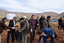 مراسم گرامیداشت روز جهانی خاک در لرستان برگزار شد