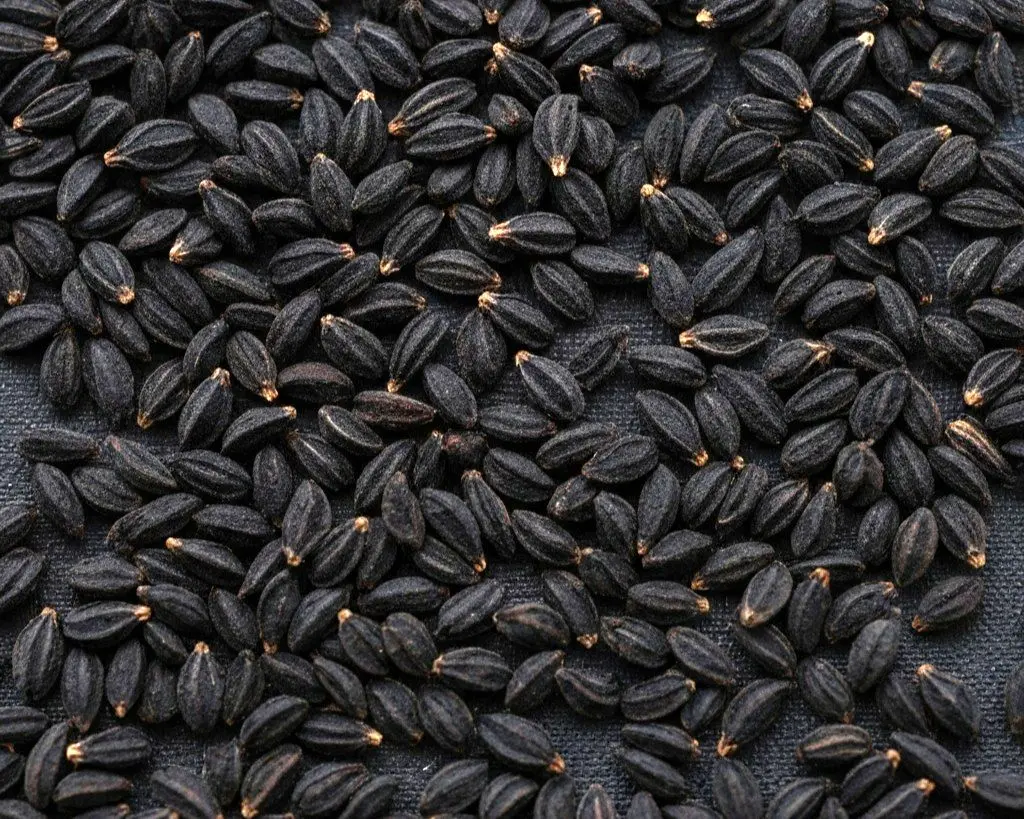 خواص درمانی سیاهدانه برای بدن انسان