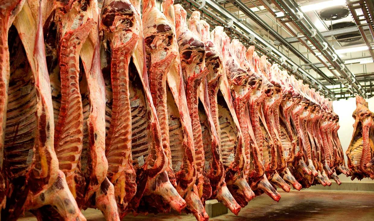 مردم گوشت ۱۸ هزار تومانی بخرند