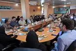 دیده‌بانان حیات وحش هر هفته برای حفاظت از خرس قهوه‌ای به سبلان صعود می‌کنند