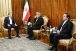 دیدار رئیس کمیسیون امنیت ملی مجلس با وزیر امور خارجه ایران