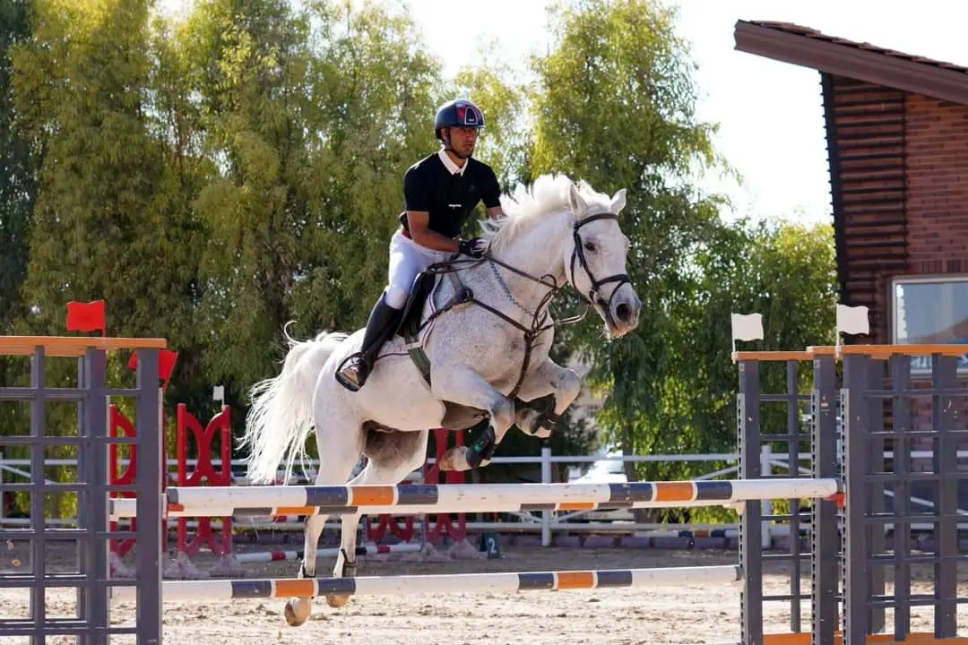 درخشش سوارکاران فارس در مسابقات اصفهان