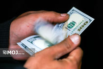 جدیدترین قیمت ارزها در بازار آزاد امروز ۱۲ دی ۱۴۰۴