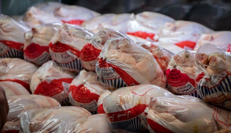 توزیع ۱۲۳ هزار کیلوگرم مرغ منجمد در بین نیازمندان ایلامی