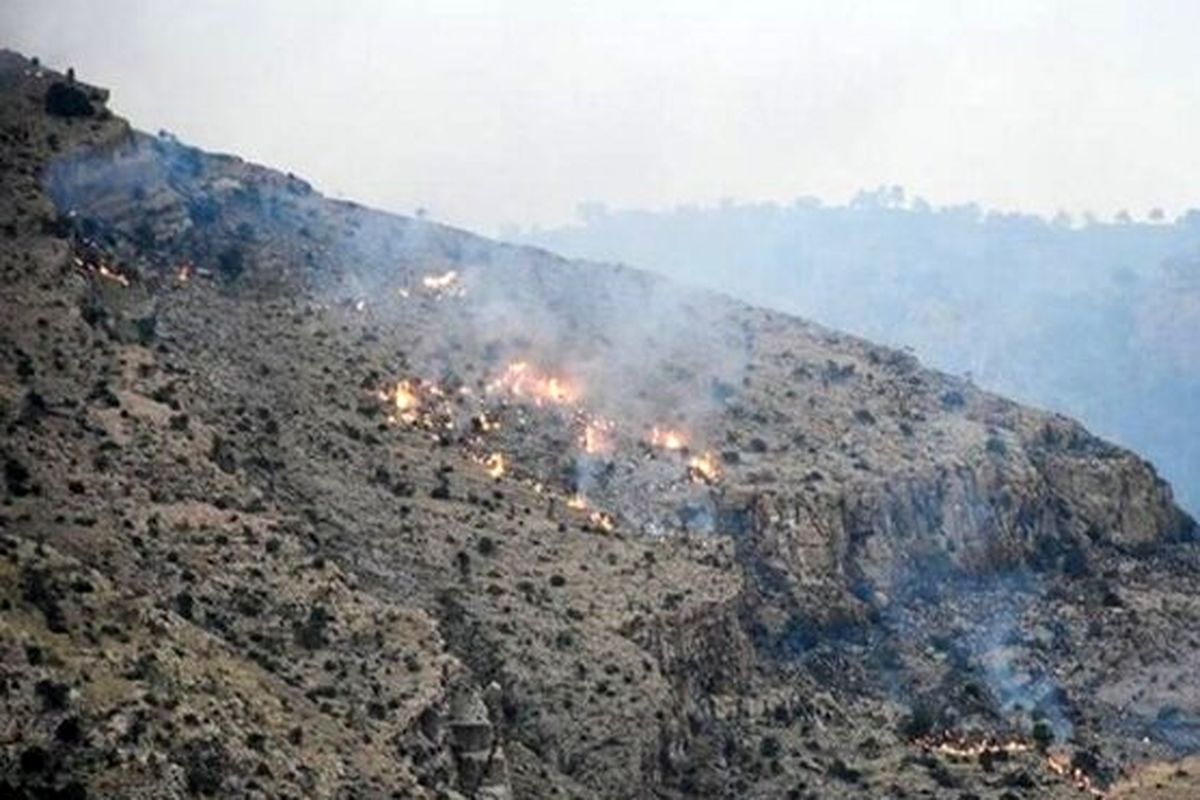 آتش سوزی در اراضی جنگلی چاه فعله مهار شد