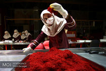 صدور کد رهگیری برای 12 هزار بسته 3 کیلوگرمی زعفران ایرانی