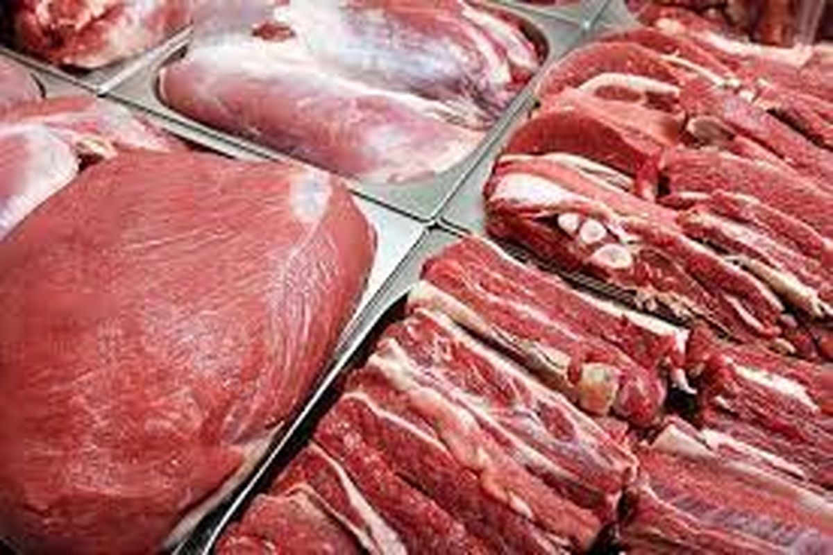 عرضه ۱۵ تن گوشت قرمز منجمد تنظیم بازاری در سطح شهرستانهای استان قزوین
