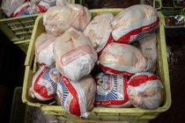 کشف احتکار 47 هزار قطعه مرغ در مازندران