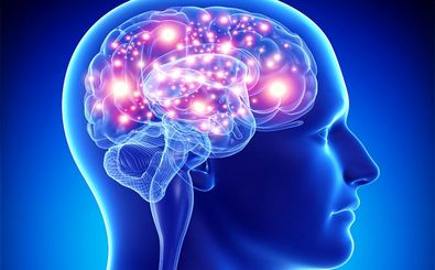 ۱۰۰ ناحیه جدید در مغز کشف شد