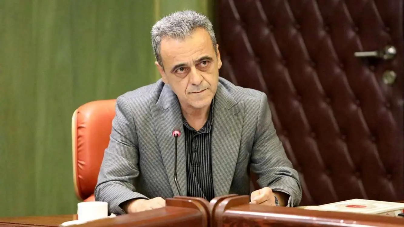 مجوز واردات 5.5 میلیون تن نهاده‌های دامی از ستاد تنظیم بازار اخذ شد