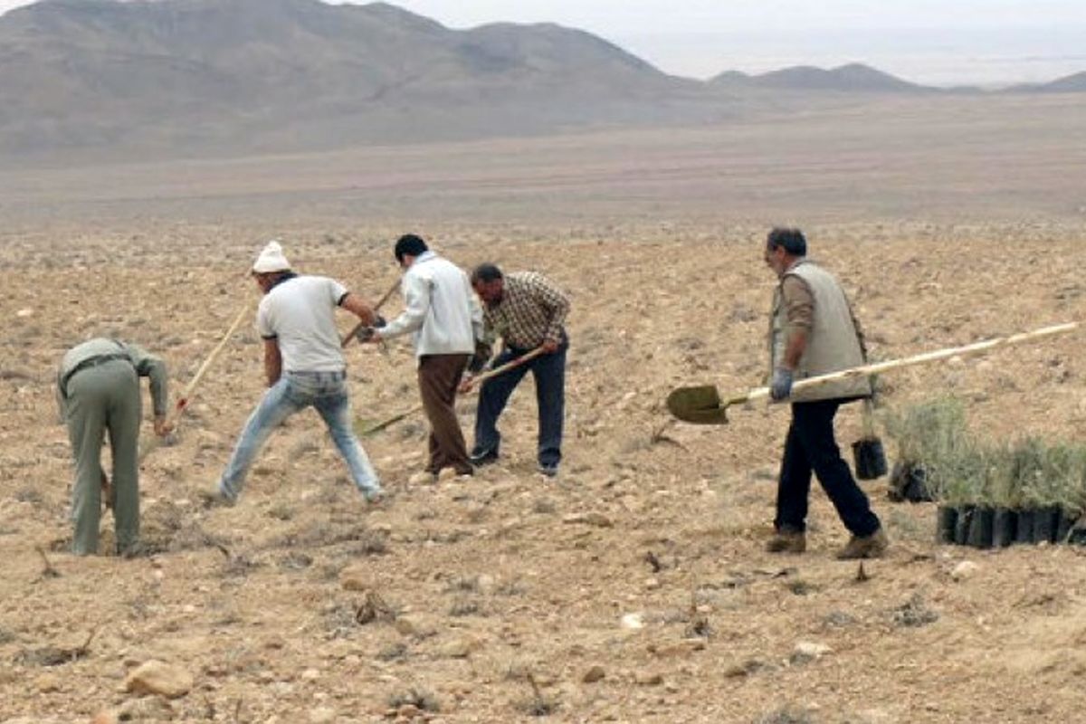 از یک دبستان در راستای اجرای طرح ترسیب کربن بهره‌برداری شد