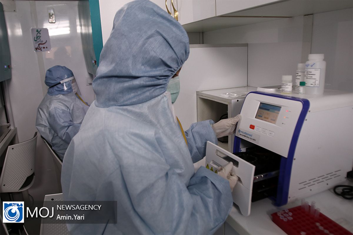 کشف 33 جهش جدید در ویروس کرونا توسط محققان