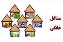 صدور 14 پروانه تأسیس مشاغل خانگی در جویبار