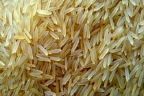 ممنوعیت فروش برنج خارجی در فروشگاه های گیلان