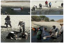 اجرای طرح نجات ماهیان گرفتار در زاینده رود