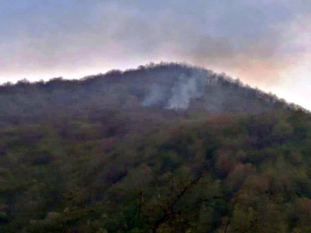 آتش سوزی در جنگل روستای «نیرِس» کجور