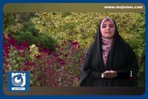 ثبت نام قطعی ۱۰ هزار و ۷۲۴ داوطلب انتخابات مجلس + فیلم