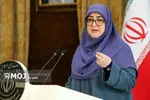 عدالت شغلی، راهبرد دولت برای توسعه متوازن