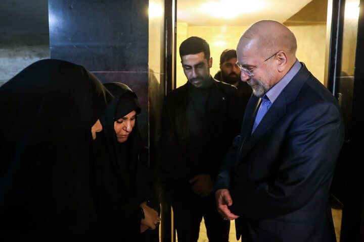 رئیس مجلس  با خانواده سردار شهید سید رضی موسوی دیدار کرد