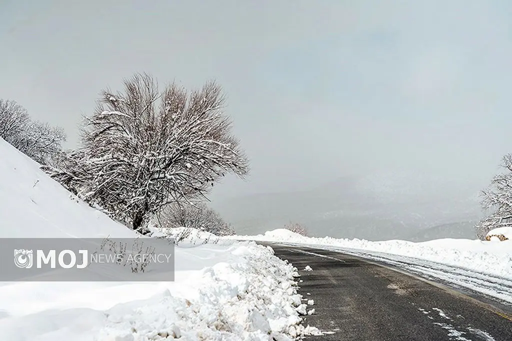 کاهش محسوس دما و بارش برف و باران در استان